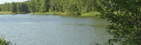 Рыбалка в Запрудном. Фото 931.