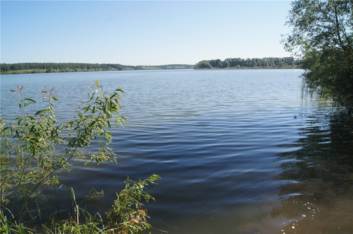 Рыбалка сорочий лог фото