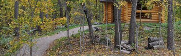 Яркое. Фото 9510.