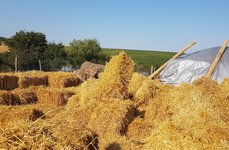 Золотой Родник. Фото 9526.