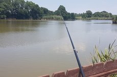 Золотой Родник. Фото 9534.