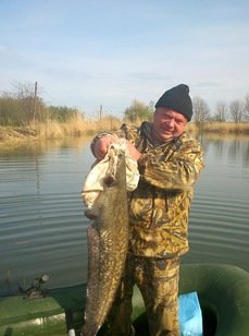 Золотой Родник. Фото 9544.