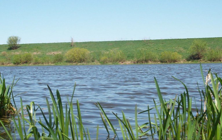 Плавутка
