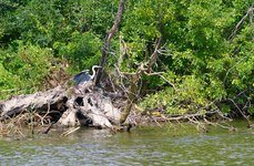 Венеция на Каспии. Фото 957.