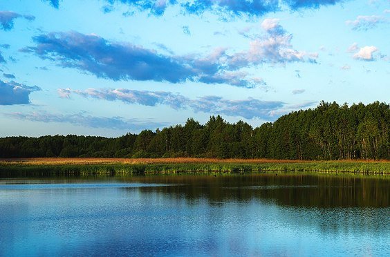 Северная заря фото