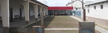 Барс. Фото 9589.