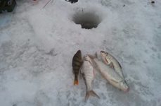 Венеция на Каспии. Фото 960.