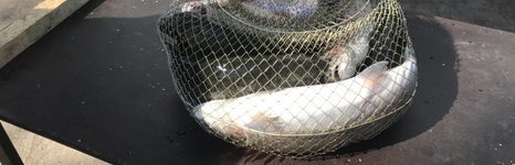 Парус-Север. Фото 9629.