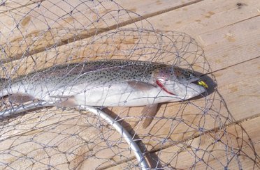 Парус-Север. Фото 9633.