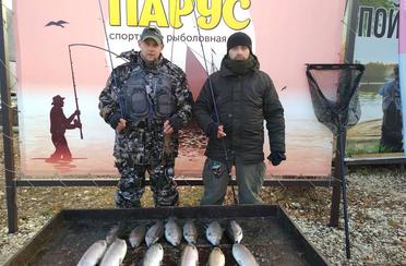 Парус. Фото 9636.