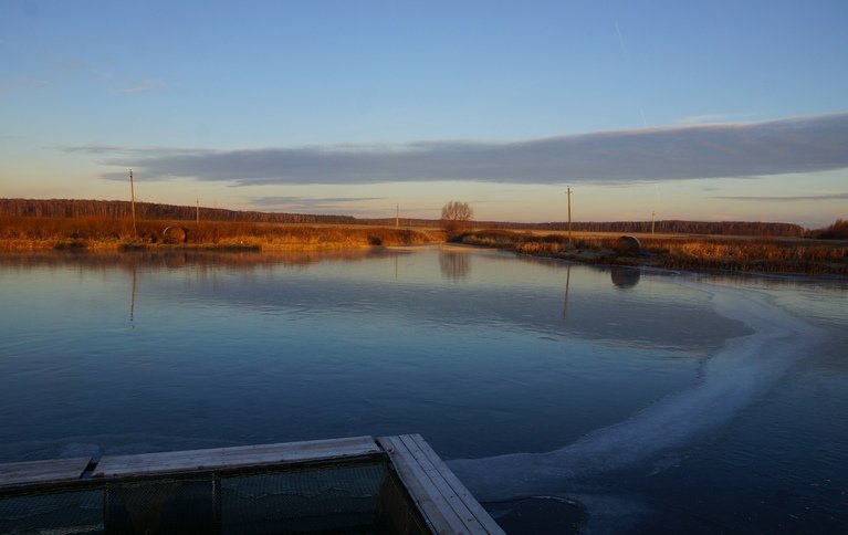 Азартная рыбалка