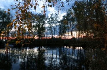 Берлога. Фото 971.