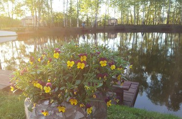 Берлога. Фото 972.