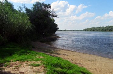 В Хмелёвке. Фото 981.