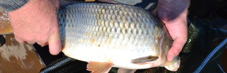 Мельница. Фото 9845.