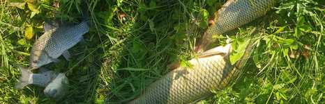 Тихое озеро. Фото 9869.