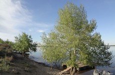 Альпийская деревня. Фото 988.