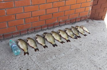 Усадьба Касакина. Фото 9926.