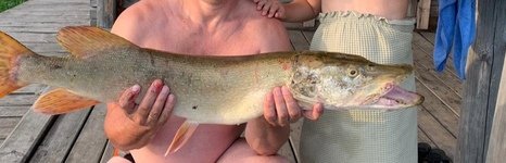 Чернавское водохранилище. Фото 9952.