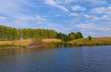 Чернавское водохранилище. Фото 9953.