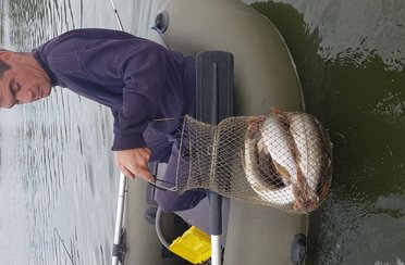 Шариповка. Фото 9983.