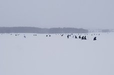 Шариповка. Фото 9995.